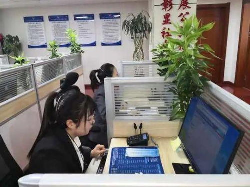 寧夏12348法律咨詢熱線春節(jié)“不打烊”，守護群眾法治權益，專業(yè)財務咨詢同步在線