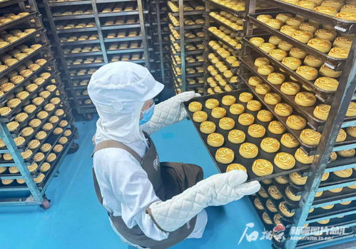 中秋佳節將至，烏魯木齊食品與羽絨制品企業雙線并進迎忙季