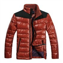 時尚與溫暖并存 探索與狼共舞 d wolves 羽絨服的細(xì)節(jié)魅力與報價